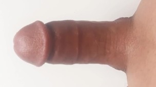 Valen Pink, Bella Vidal, Leia Saez, Sofia Sweet Secrett and Lady Medusa all fuck in FAKings