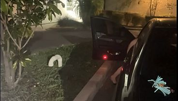Purrrrrzzzz Montaje de orgasmos al aire libre en público
