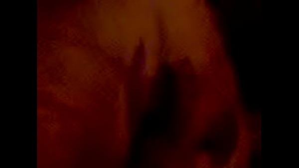 Abigahil mexicana does oral